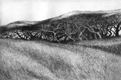 Etching by artist Paul Murphy