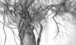 Etching by artist Paul Murphy